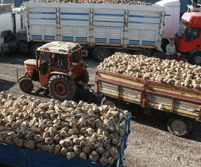 Turkey Ag